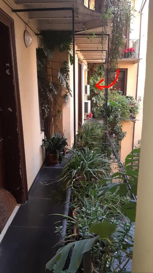 Charme De Rome Vatican Apartment Exterior foto